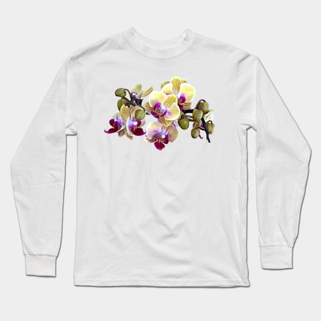 Pale Yellow and Magenta Phalaenopsis Orchids Long Sleeve T-Shirt by SusanSavad